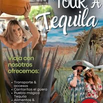 Agave y experiencia en Tequila
