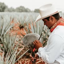 Promoción tour a Tequila